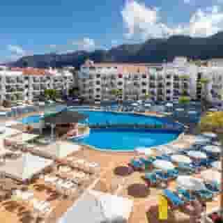 Globales Tamaimo Tropical, 2 of 5