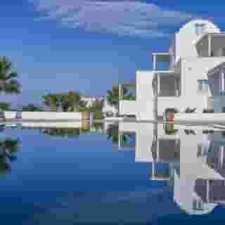 Petri Suites, 4 of 5