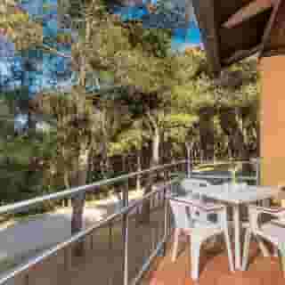 Apartments Kanegra Plava Laguna, 3 of 5