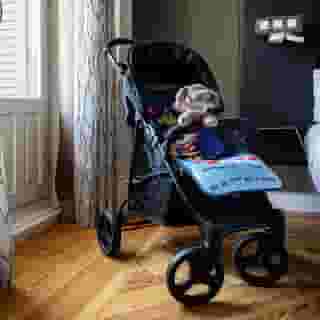 Petit Palace Triball, 2 of 5