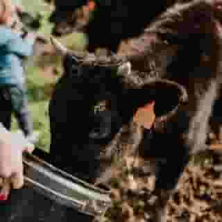 Posada Somavilla, 3 of 5