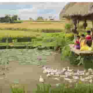 Visesa Ubud Resort, 1 of 5