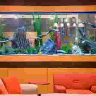 Embassy Suites by Hilton Houston Energy Corridor, 1 of 5