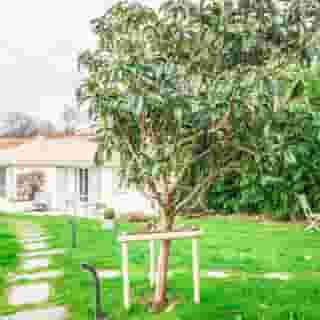 Le Temps des Hotes, 4 of 5