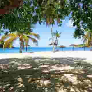 Grand Royal Antiguan, 4 of 5