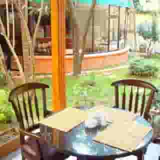 Charming Vezir, 4 of 5