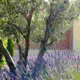 Hotel Et Spa Du Castellet, 4 of 5