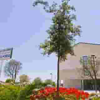 Hq La Galeria, 4 of 5