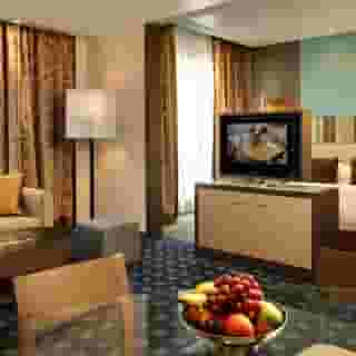 Park Rotana Hotel, 5 of 5