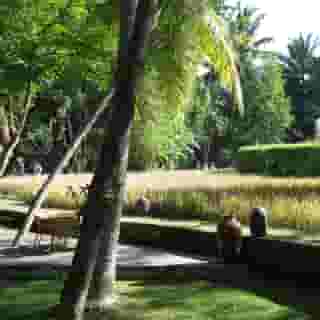 Arma Museum and Resort, 5 of 5