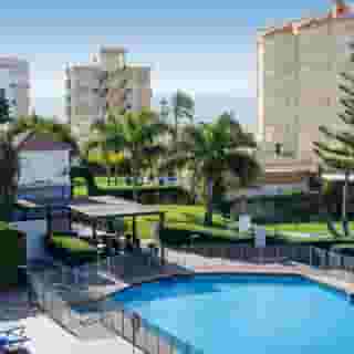 Monarque Cendrillon, 2 of 5