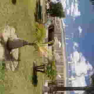 Ponta Grande Resort, 1 of 5