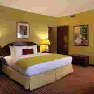 Hotel Rex San Francisco, 3 of 5