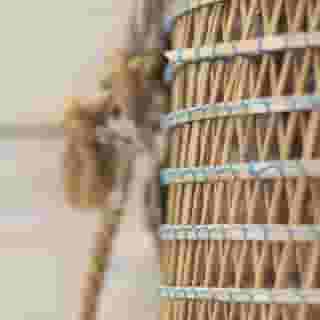 Prestige Mar y Sol, 5 of 5