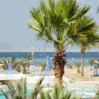 Coral Sun Beach, 3 of 5