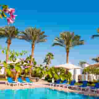 Novotel Sharm El Sheikh Palm, 4 of 5