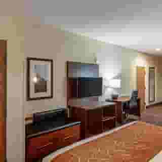 Comfort Suites Nw Dallas Near Love Field, 5 of 5