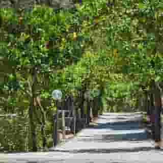 Villa Oriana Relais, 4 of 5