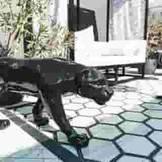 Provocateur, Berlin, A Member Of Design Hotels, 3 of 5