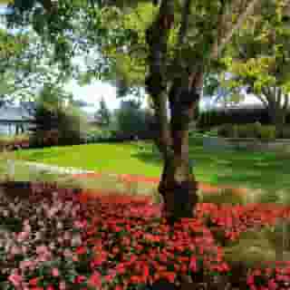 Radisson Blu Vancouver Airport, 4 of 5