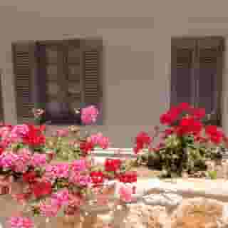 White Suites  - Adult Only, 1 of 5