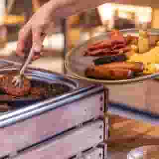 Wren Urban Nest, 2 of 5