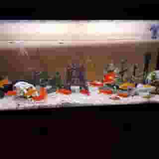 Moorepark West House, 1 of 5