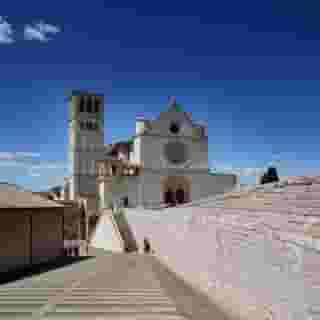 Windsor Savoia, 4 of 5