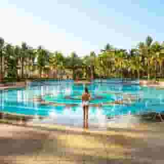 The Cove At Atlantis, 2 of 5