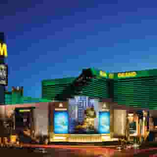 MGM Grand Hotel & Casino, 2 of 5
