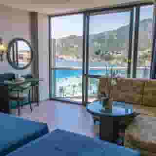 Kaktus Albir, 6 of 6