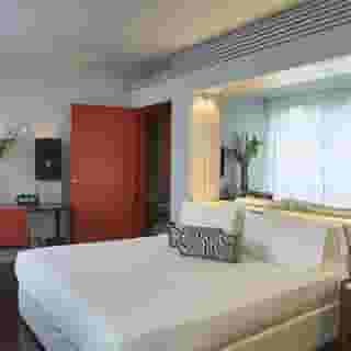 Sina The Gray, 1 of 5