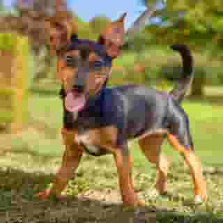 Novotel Antwerpen, 1 of 5