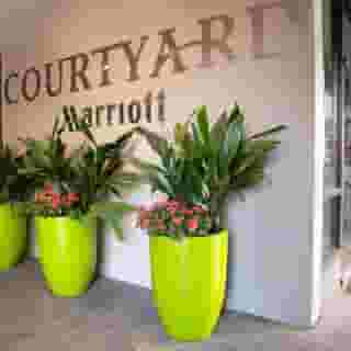 Courtyard By Marriott Seattle Bellevue/Downtown, 2 of 5