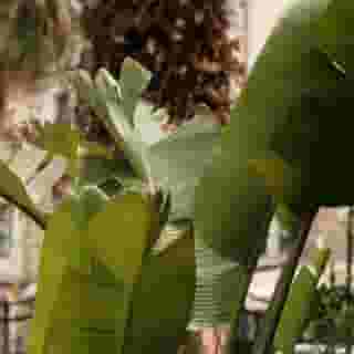 Albergo Centrale, 3 of 5