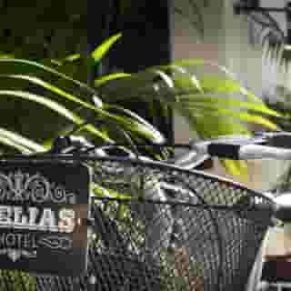 Ofelias Hotel, 3 of 5