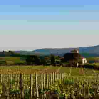 Locanda Le Piazze, 5 of 5
