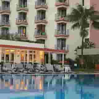 Dorisol Mimosa, 5 of 5