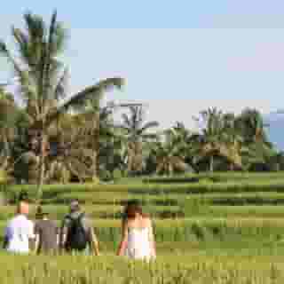 Wapa di Ume Ubud, 6 of 6