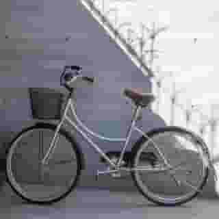 Pug Seal Anatole France, 5 of 5