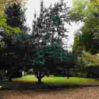 Hotel Casona El Arral, 2 of 5