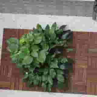 Hotel Las Nieves, 3 of 5