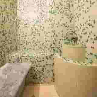 Best Western Plus Hotel Galles, 4 of 5