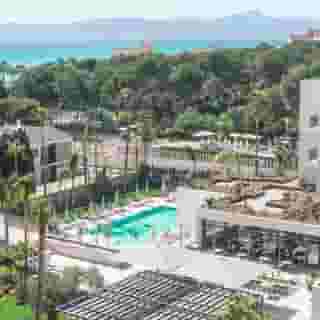 Paradiso Garden, 4 of 5