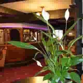 Le Pommier Hotel & Restaurant, 3 of 5