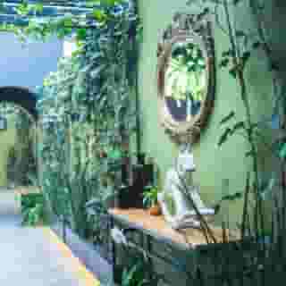 Casa Panuco, 6 of 6