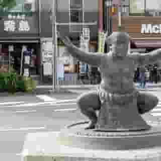 Pearl Hotel Ryogoku, 6 of 6