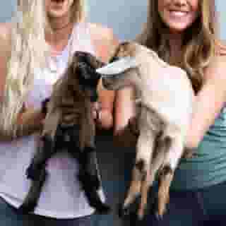 Jw Marriott Nashville, 4 of 5