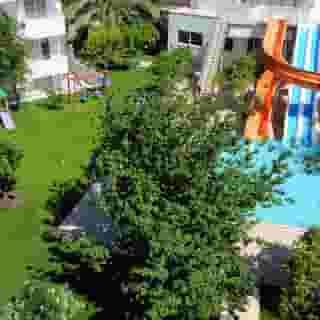 Catty Cats Garden Hotel, 3 of 5