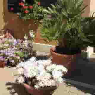 Country House Country Club, 1 of 5